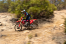 2025 Honda CRF450X
