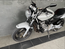 2005 Honda CB600F4 Hornet : Stock