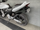 2005 Honda CB600F4 Hornet : Stock