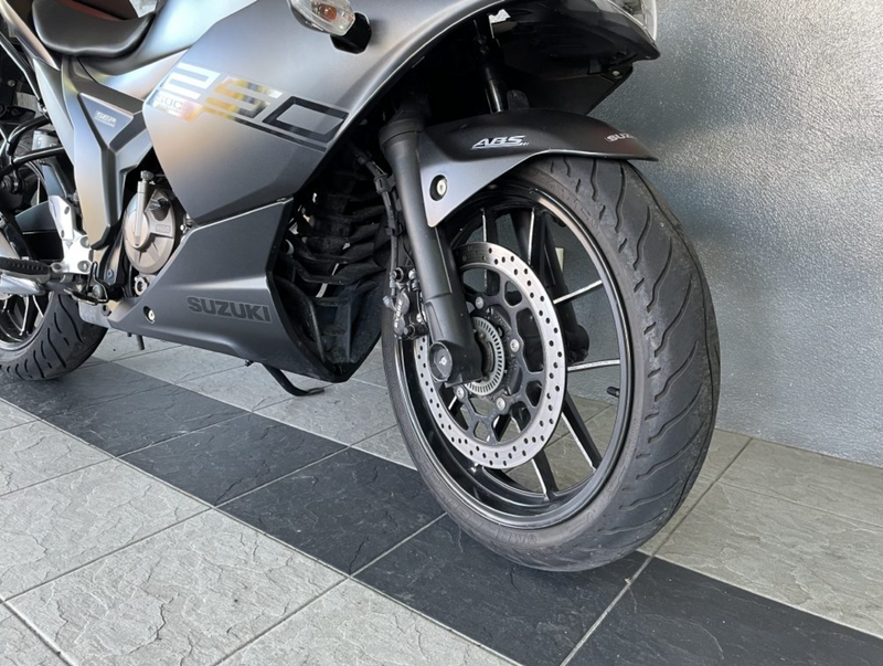 2020 Suzuki GSX GSX250 : Stock
