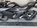 2020 Suzuki GSX GSX250 : Stock