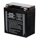 USPS AGM BATTERY US20CH  YTX20CH YTX20CH-BS