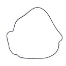 Vertex Outer Clutch Gasket 817987