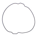 Vertex Outer Clutch Gasket 819054