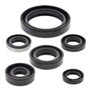 Vertex Oil Seal Kit 822137