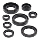 Vertex Oil Seal Kit 822173