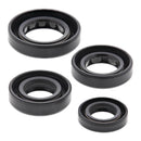 Vertex Oil Seal Kit 822179