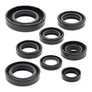 Vertex Oil Seal Kit 822181