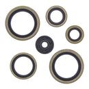 Vertex Oil Seal Kit 822187