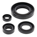 Vertex Oil Seal Kit 822195