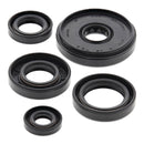 Vertex Oil Seal Kit 822196