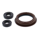 Vertex Oil Seal Kit 822200