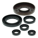 Vertex Oil Seal Kit 822209