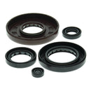 Vertex Oil Seal Kit 822210