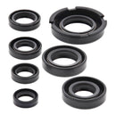 Vertex Oil Seal Kit 822219