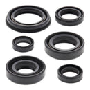 Vertex Oil Seal Kit 822220