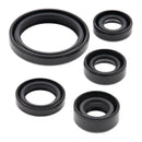 VERTEX OIL SEAL SET KAW DR200SE 96-17 / DR200S 18-19