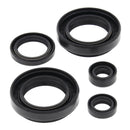 Vertex Oil Seal Kit 822234