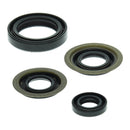 Vertex Oil Seal Kit 822273