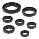 Vertex Oil Seal Kit 822311