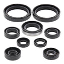 Vertex Oil Seal Kit 822316