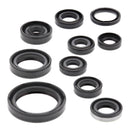 Vertex Oil Seal Kit 822319