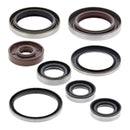 Vertex Oil Seal Kit 822320