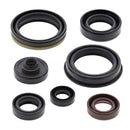 Vertex Oil Seal Kit 822329