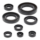 Vertex Oil Seal Kit 822354