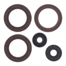 Vertex Oil Seal Kit 822362
