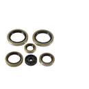 Vertex Oil Seal Kit 822370
