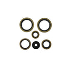 Vertex Oil Seal Kit 822370