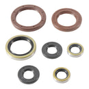 Vertex Oil Seal Kit 822372