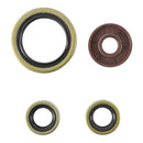 Vertex Oil Seal Kit 822374