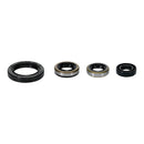 Vertex Oil Seal Kit 822399