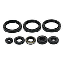 Vertex Oil Seal Kit 822403