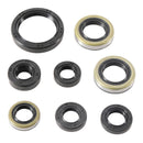 Vertex Oil Seal Kit 822485
