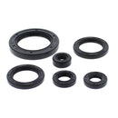 Vertex Oil Seal Kit 822978