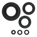 Vertex Oil Seal Kit 822997