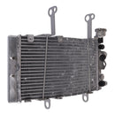 Whites Motorcycle Parts Radiator KTM/Husqvarna 450 Rally / FR450 '19-'22
