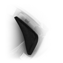 AGV Wind Protector Pista GP RR Black Ns