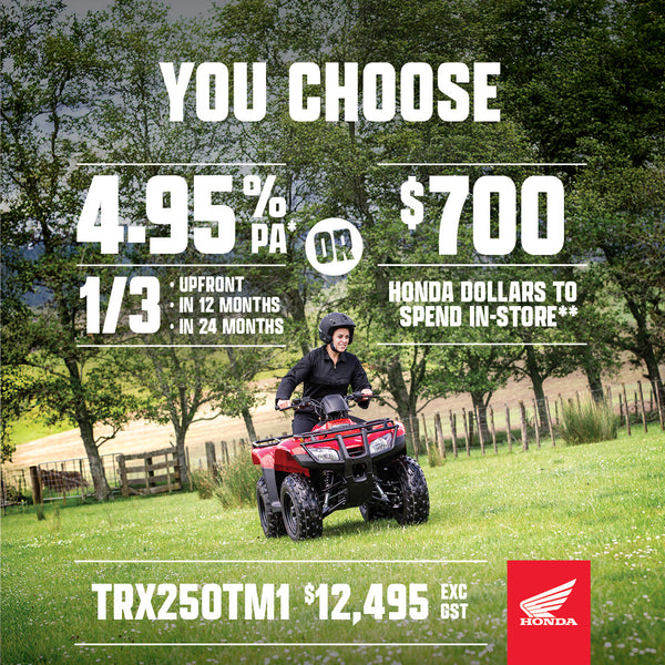 Honda TRX250TM