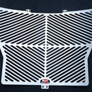 R&G Stainless Steel Radiator Guard BMW S1000R and BMW S1000RR Stainless