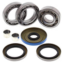 DIFF BRG & SEAL KIT REAR 25-2096 POLARIS