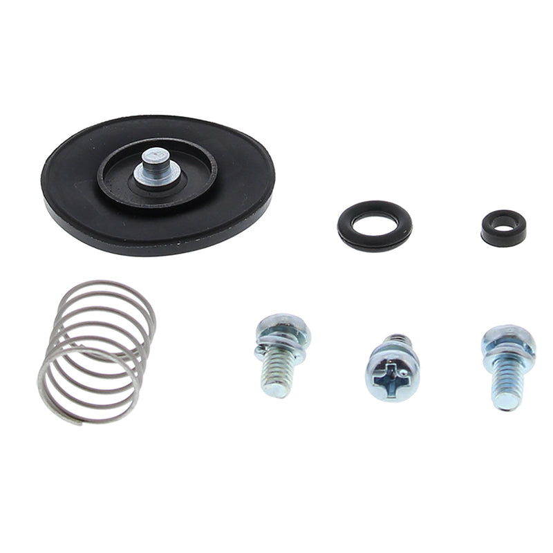 Accelerator Pump Rebuild Kit 46-3001