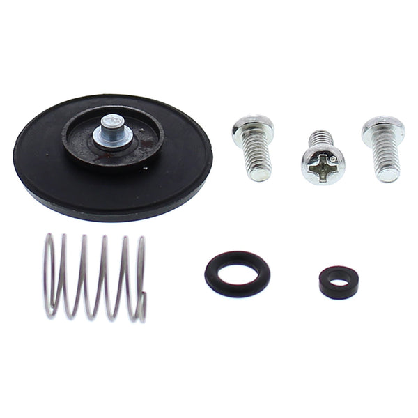 Accelerator Pump Rebuild Kit 46-3005