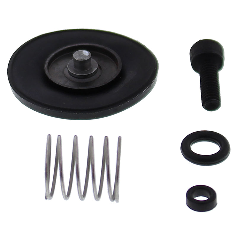 Accelerator Pump Rebuild Kit 46-3006