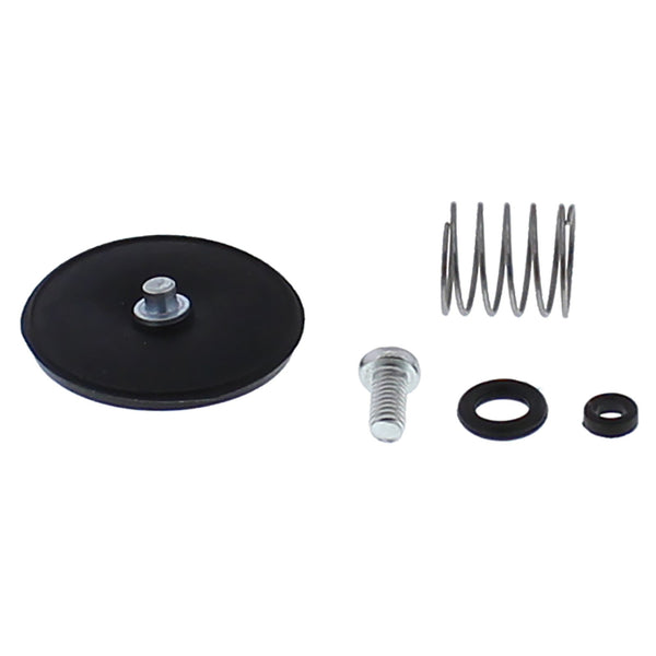 Accelerator Pump Rebuild Kit 46-3007