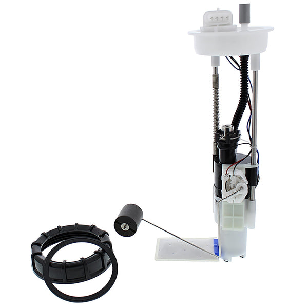 FUEL PUMP MODULE - PUMP, FILTER, HOUSING, NUT , GSKT ETC