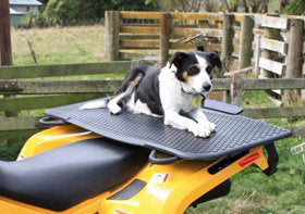 Inex Dog Mat